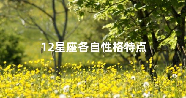 12星座各自性格特点