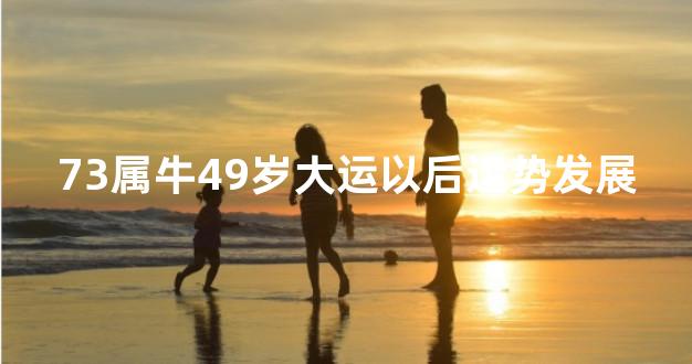 73属牛49岁大运以后运势发展