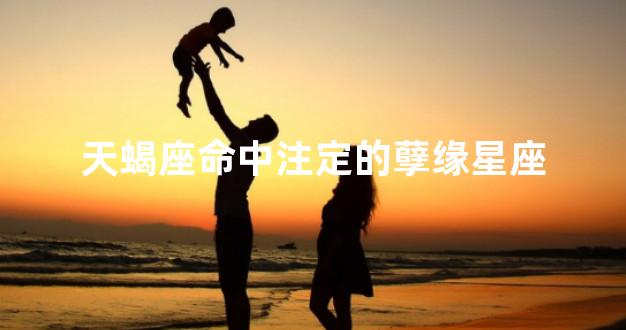 天蝎座命中注定的孽缘星座