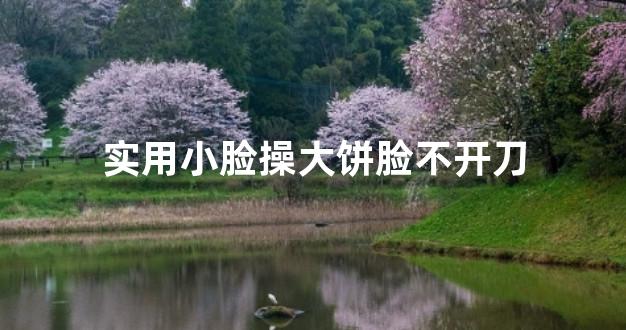 实用小脸操大饼脸不开刀
