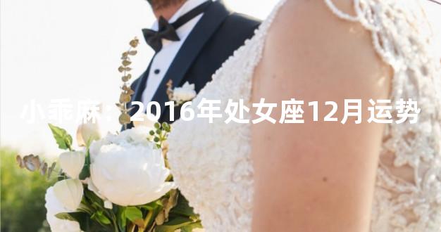 小乖麻：2016年处女座12月运势