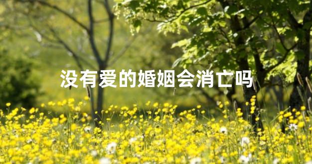 没有爱的婚姻会消亡吗