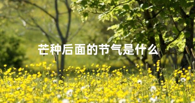 芒种后面的节气是什么